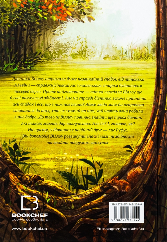 Бумажная книга «Дівчинка на ім’я Віллоу», автор Забине Больман - фото №1