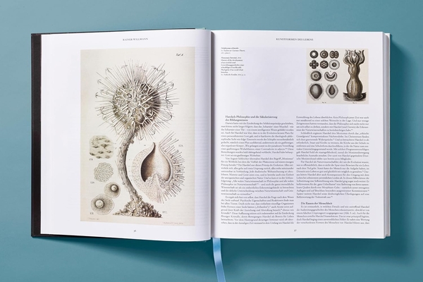 Paper book «The Art and Science of Ernst Haeckel», author Julia Voss - фото №1