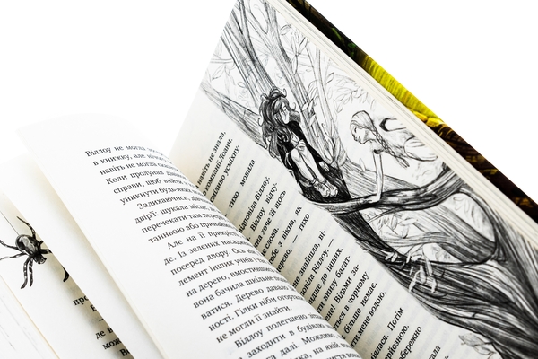 Бумажная книга «Дівчинка на ім’я Віллоу», автор Забине Больман - фото №1