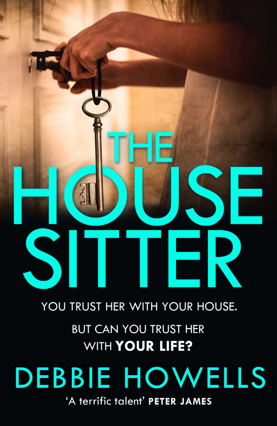 Паперова книга «The House Sitter», автор Деббі Гавеллс - фото №1
