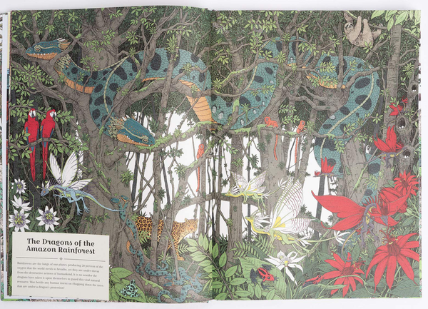 Бумажная книга «The Dragon Ark. Join the quest to save the rarest dragon on Earth» - фото №1