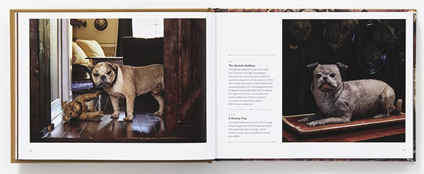Бумажная книга «Best Friends Forever. The Greatest Collection of Taxidermy Dogs on Earth», автор Джей Ди Пауэр - фото №1