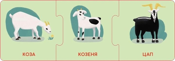  «Настільна гра Кенгуру Логічні ланцюжки. Малюки тварини та їхні родини (КН1782001У)», бренда Кенгуру - фото №1