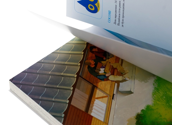 Бумажная книга «Рестарт повернення додому. Том 1», автор Cocomi - фото №1