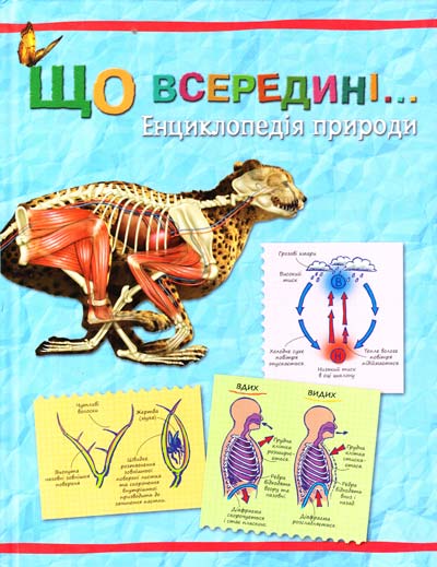 [object Object] «Що всередині… Енциклопедія природи», автор С. Паркер - фото №2 - миниатюра