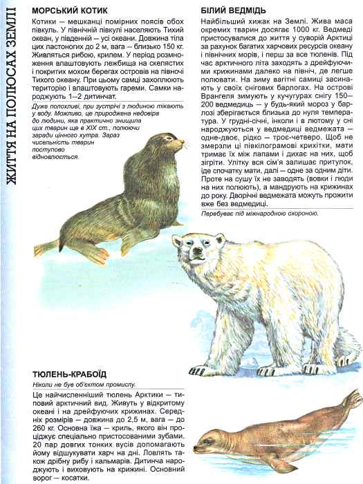 Паперова книга «Енциклопедія тварин. Дика природа. Гепард», автор О. Шаповалова - фото №1