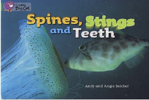 Бумажная книга «Big Cat 5 Spines, Stings and Teeth», авторов Энди Белкер, Клифф Мун - фото №1