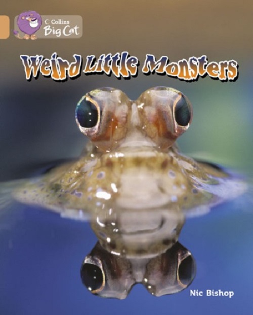 Паперова книга «Big Cat 12 Weird Little Monsters», автор Нік Бішоп - фото №1