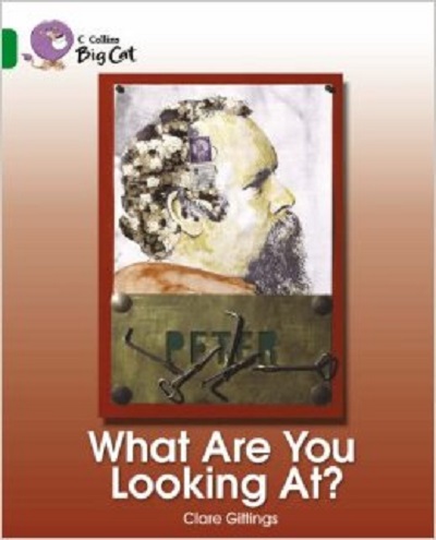 Бумажная книга «Big Cat 15 What are You Looking At?», автор Клэр Гиттингс - фото №1