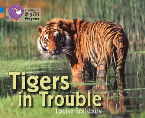 Бумажная книга «Big Cat Progress 4/12 Tigers in Trouble», автор Луиз Шпильсбури - фото №1