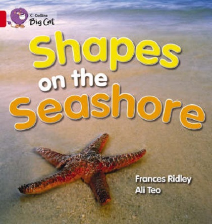 Паперова книга «Big Cat  2A Shapes on the Seashore. Workbook» - фото №1
