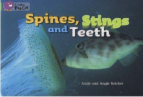 Паперова книга «Big Cat  5 Spines, Stings and Teeth. Workbook» - фото №1