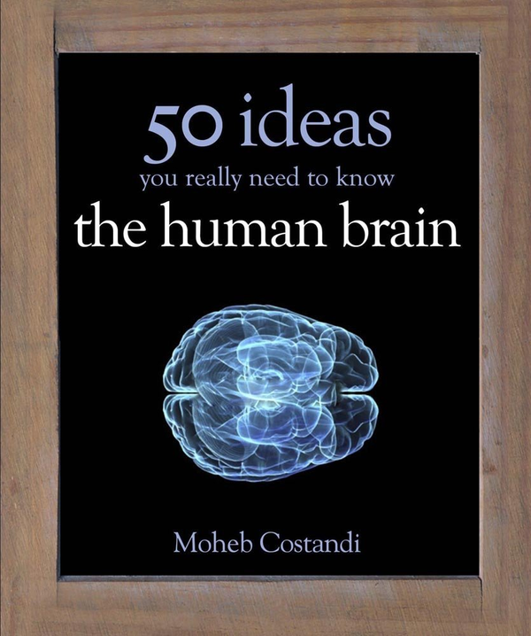 Паперова книга «50 Human Brain Ideas You Really Need to Know», автор Моеб Костанді - фото №1