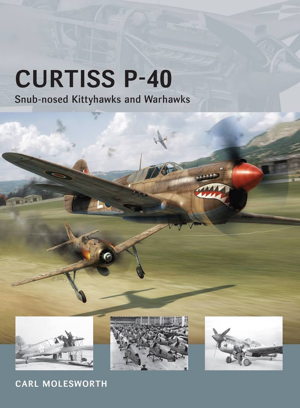 Бумажная книга «Curtiss P-40: Snub-nosed Kittyhawks and Warhawks», автор Карл Моулсворт - фото №1