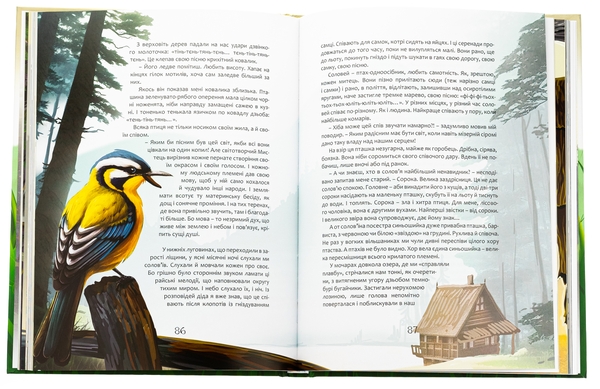 Бумажная книга «Пастух цвіркунів», автор Мирослав Дочинец - фото №1