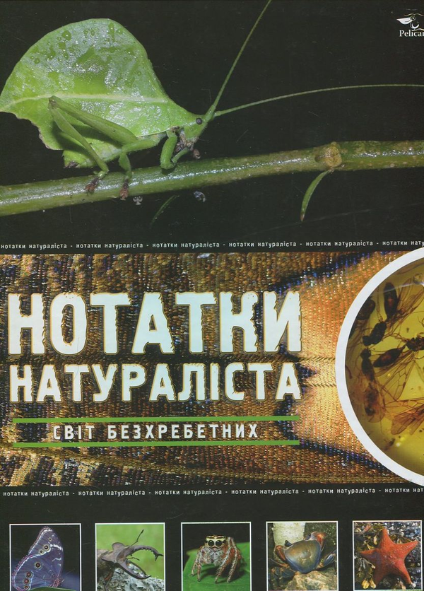 Паперова книга «Світ безхребетних» - фото №1
