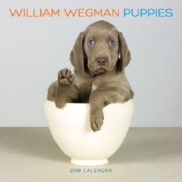 Паперова книга «William Wegman Puppies 2018 Wall Calendar», автор Вільям Веґман - фото №1