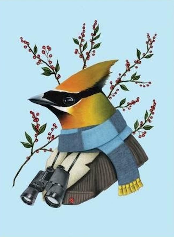 Бумажная книга «Berkley Bestiary Winter Waxwing Large Embellished Notecards» - фото №1