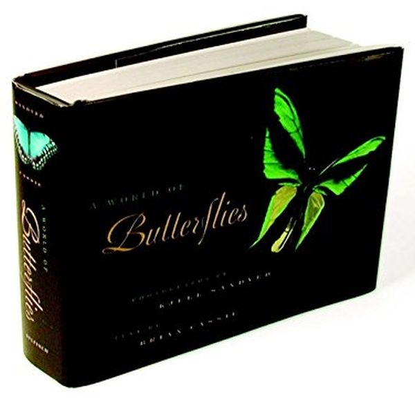 Бумажная книга «A World Of Butterflies», автор Брайан Кэсси - фото №1