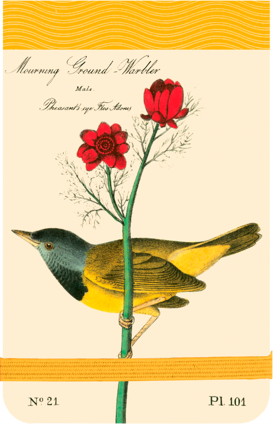 Бумажная книга «Mini Journal: Audubon Warblers», автор Джон Джеймс - фото №1