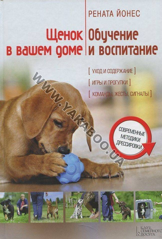 [object Object] «Щенок в вашем доме. Обучение и воспитание», автор Рената Йонес - фото №2 - миниатюра