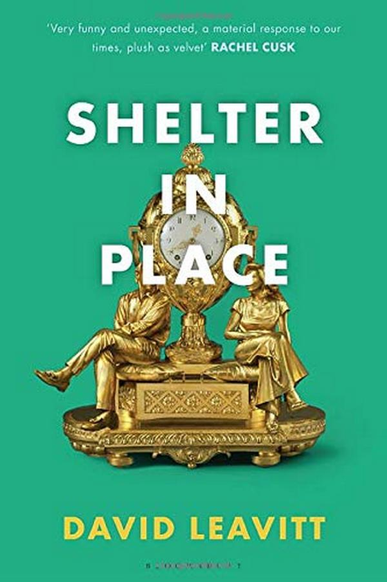 Бумажная книга «Shelter in Place», автор Дэвид Ливитт - фото №1