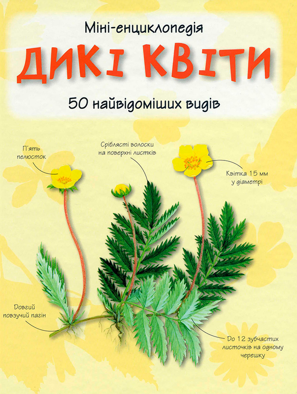 Дикі квіти. Міні-енциклопедія