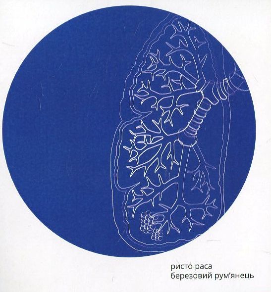 Паперова книга «Березовий рум'янець», автор Ристо Раса - фото №1