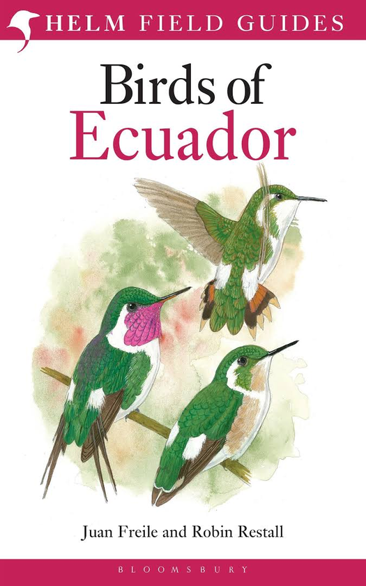 Бумажная книга «Birds of Ecuador», авторов Робин Рестолл, Хуан Фрейле - фото №1