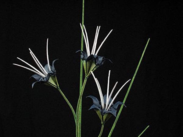 Бумажная книга «Origami Ikebana», автор Бенджамин Джон Коулман - фото №1