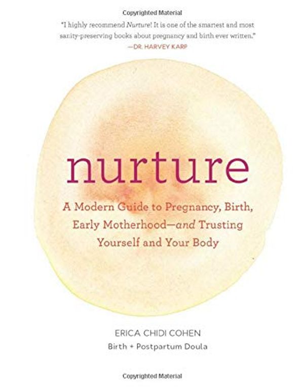 Паперова книга «Nurture: A Modern Guide to Pregnancy, Birth, Early Motherhood-and Trusting Yourself and Your Body» - фото №1