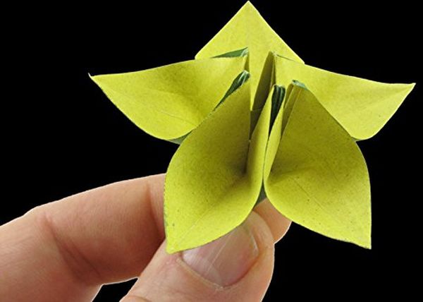 Бумажная книга «Origami Ikebana», автор Бенджамин Джон Коулман - фото №1