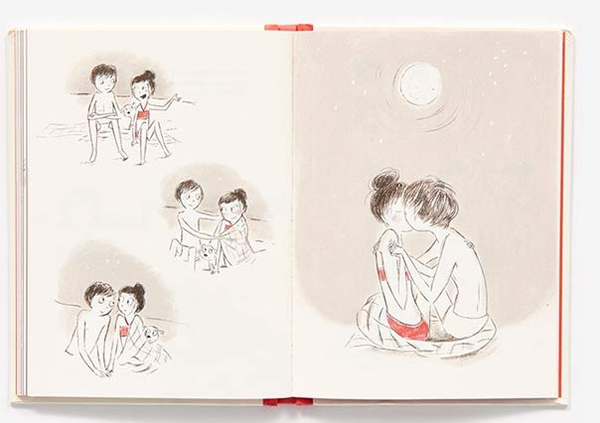 Бумажная книга «Boys. An Illustrated Field Guide», автор Хизер Росс - фото №1