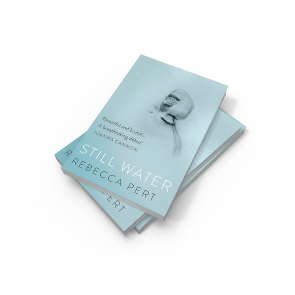 Бумажная книга «Still Water», автор Ребекка Перт - фото №1
