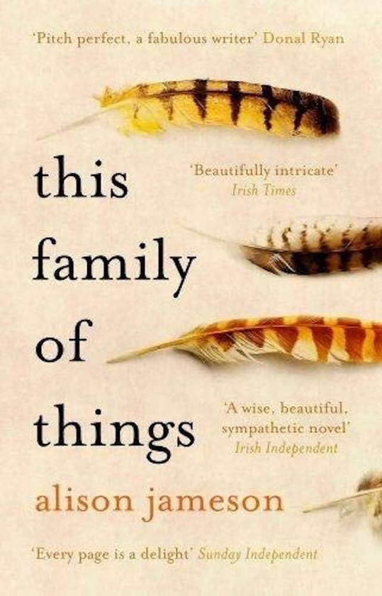 Бумажная книга «This Family of Things», автор Элисон Джеймсон - фото №1