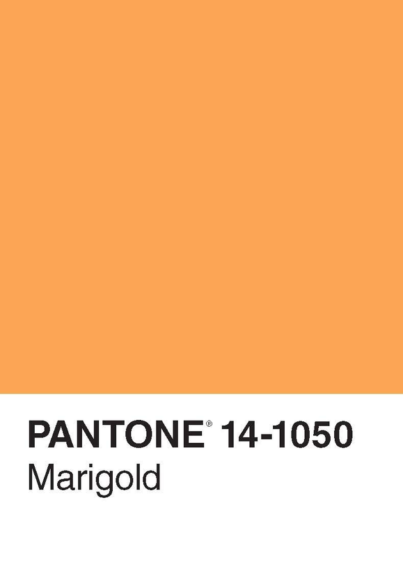 Паперова книга «Pantone 50 Postcards» - фото №1