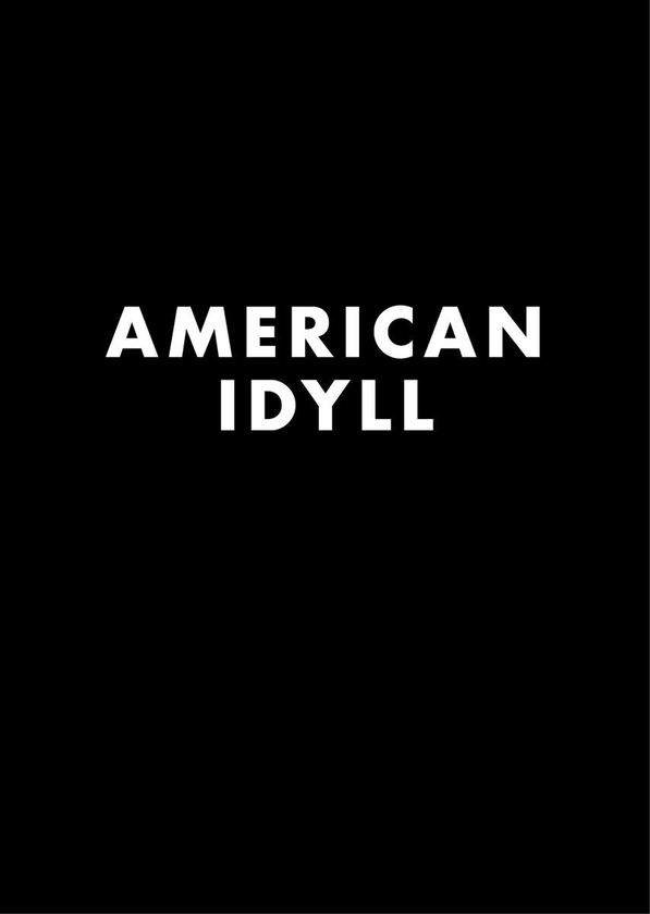 Паперова книга «Todd Darling. American Idyll», автор Тодд Дарлінг - фото №1