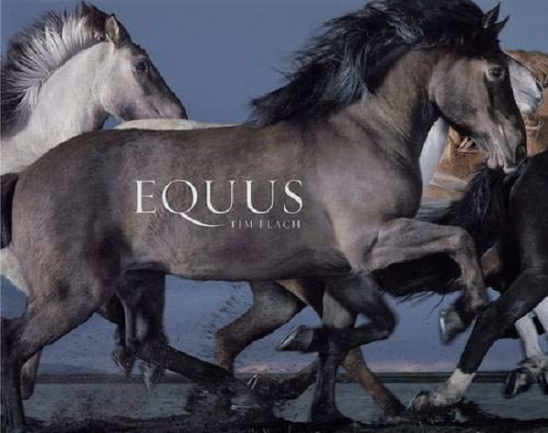 Бумажная книга «Equus», автор Тим Флэк - фото №1