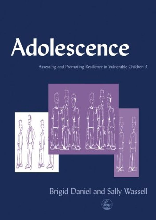 Бумажная книга «Adolescence : Assessing and Promoting Resilience in Vulnerable Children 3», автор Салли Вассел - фото №1