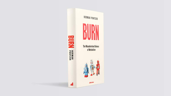 Бумажная книга «Burn. The Misunderstood Science of Metabolism», автор Херман Понтцер - фото №1