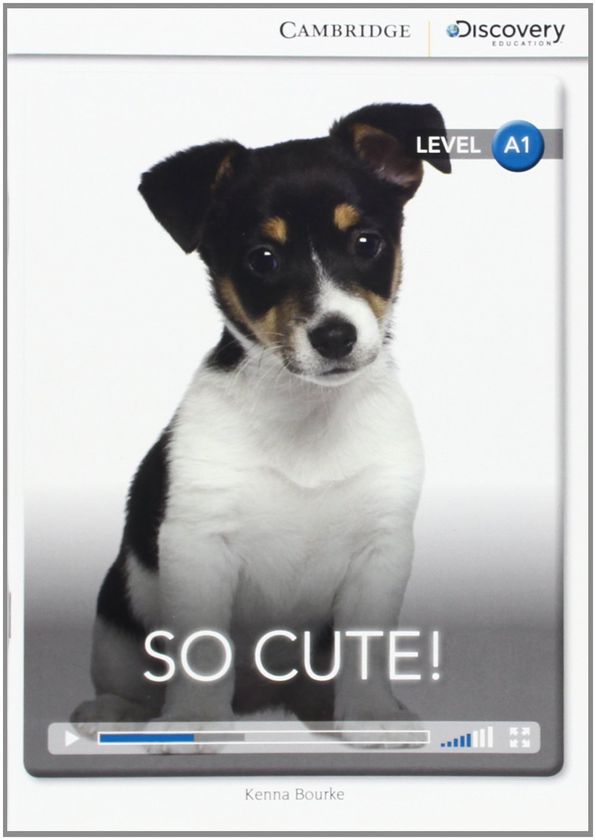 [object Object] «So Cute! Beginning Book with Online Access», автор Кенна Бурке - фото №1