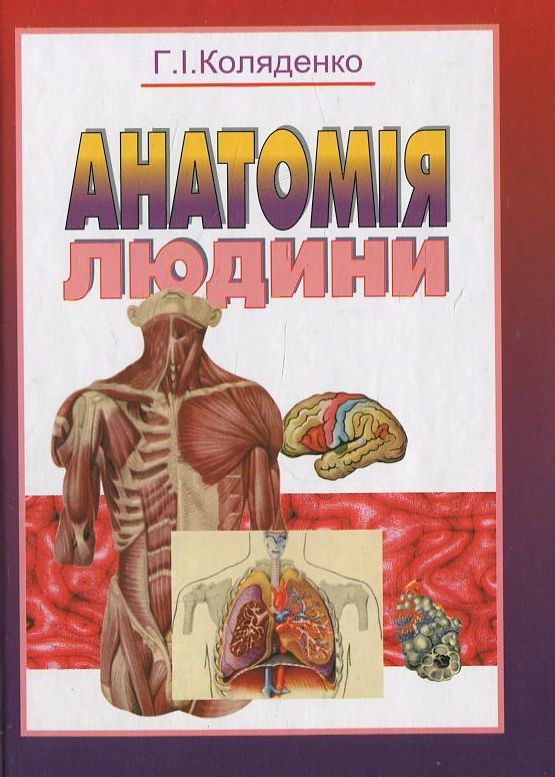 Паперова книга «Анатомія людини», автор Галина Коляденко - фото №1