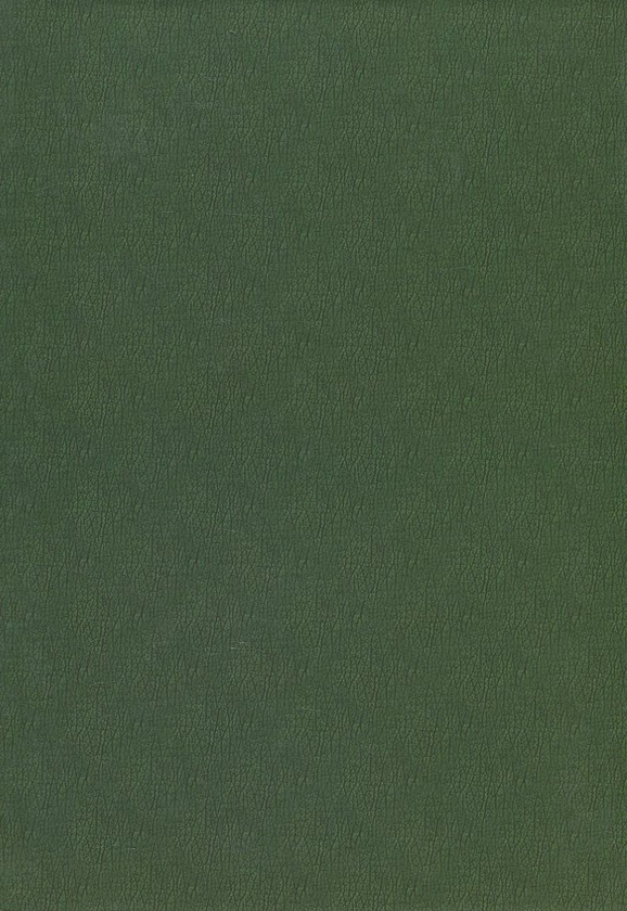 Паперова книга «Серцем з Буковиною» - фото №1