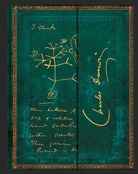  «Записная книжка Paperblanks Чарльз Дарвин Древо Жизни карманная (PB1273-3)», бренда Paperblanks - фото №1