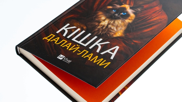 Паперова книга «Кішка Далай-лами», автор Девід Мікі - фото №1
