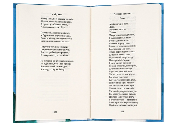 Паперова книга «Тиша і грім. Поезії», автор Василь Симоненко - фото №1