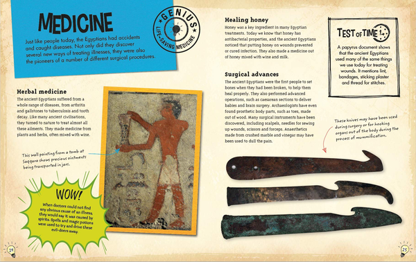 Бумажная книга «The Ancient Egyptians», автор Соня Ньюленд - фото №1