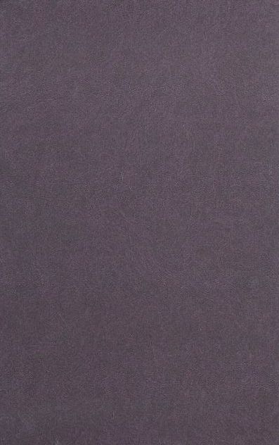Бумажная книга «Меридіан розуміння», автор Дмитрий Дроздовский - фото №1