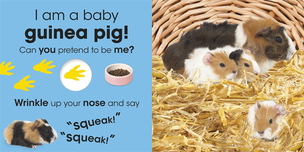 Бумажная книга «Who am I? Cuddly Animals» - фото №1