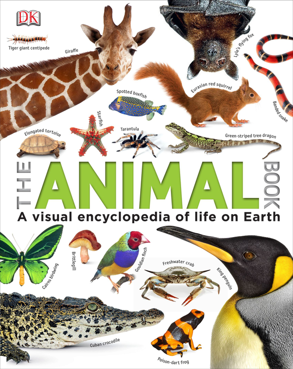 Бумажная книга «The Animal Book» - фото №1